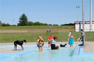 pooch pool party